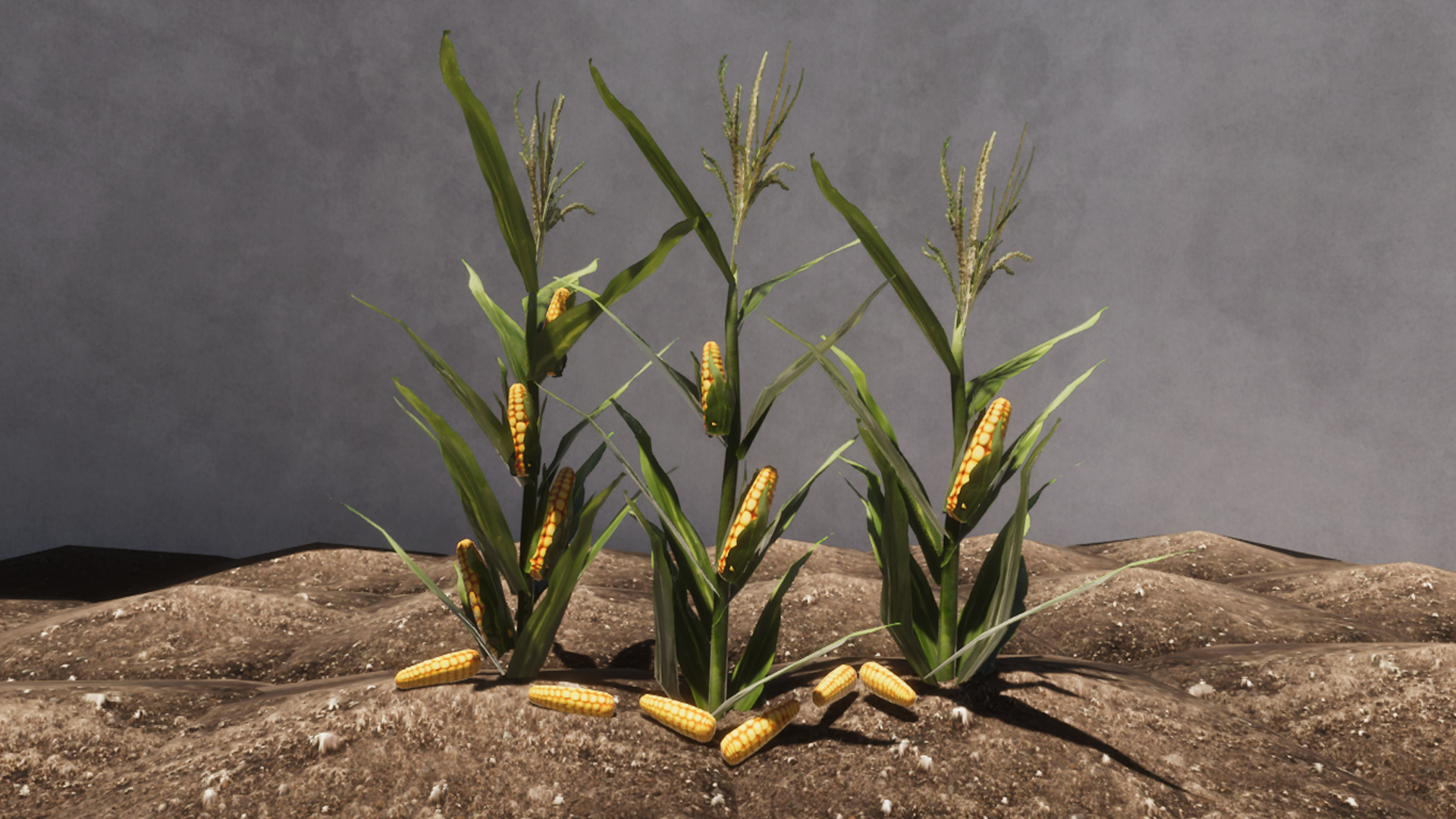 An image showing Vegetable Plants Updateasset pack, created with Unity Engine.