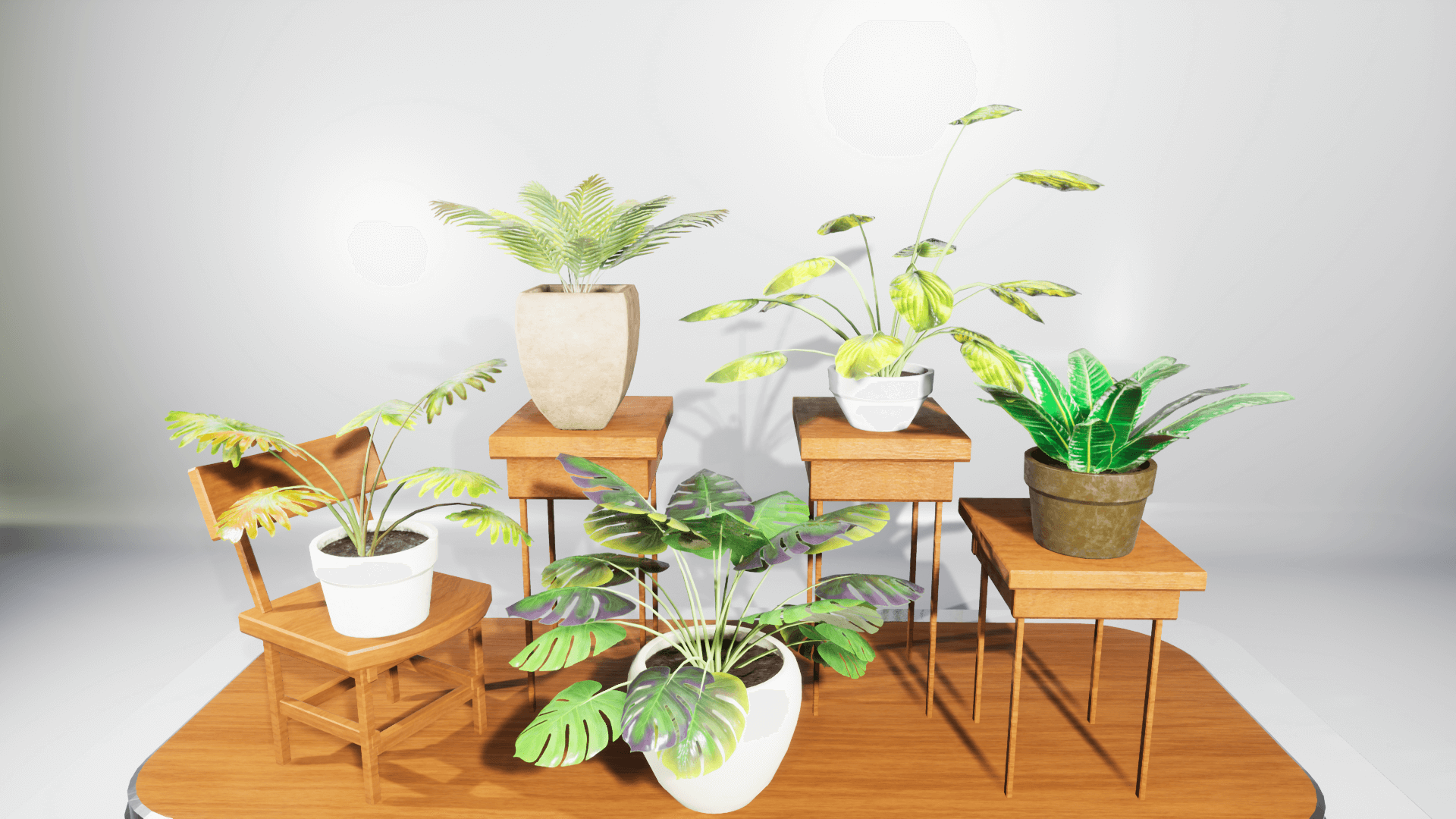 An image showing House Plants asset pack, created with Unreal Engine