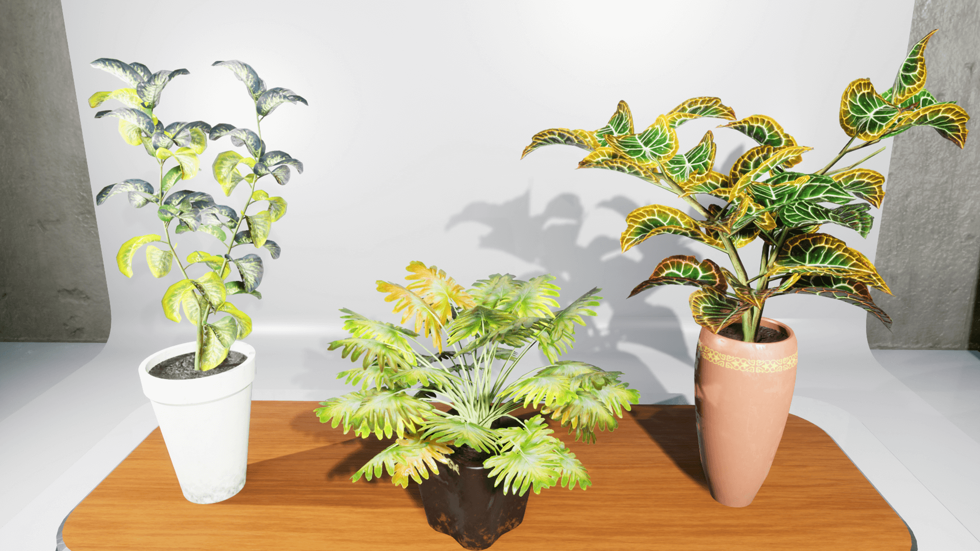 An image showing House Plants asset pack, created with Unreal Engine