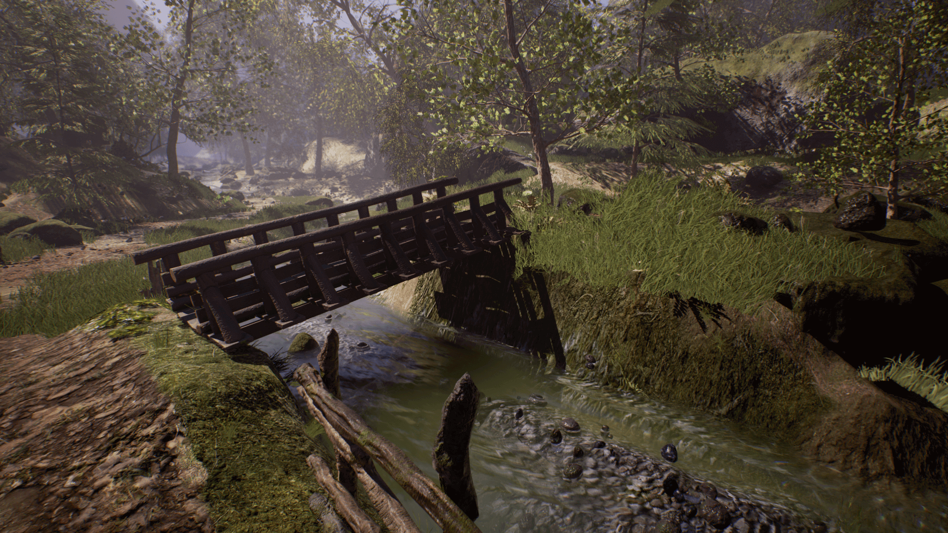 An image showing the Forrest Road Landscape asset pack, created with Unreal Engine